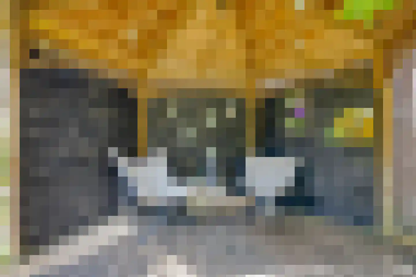 Bartelsweg 47 Apeldoorn thumbnail 44