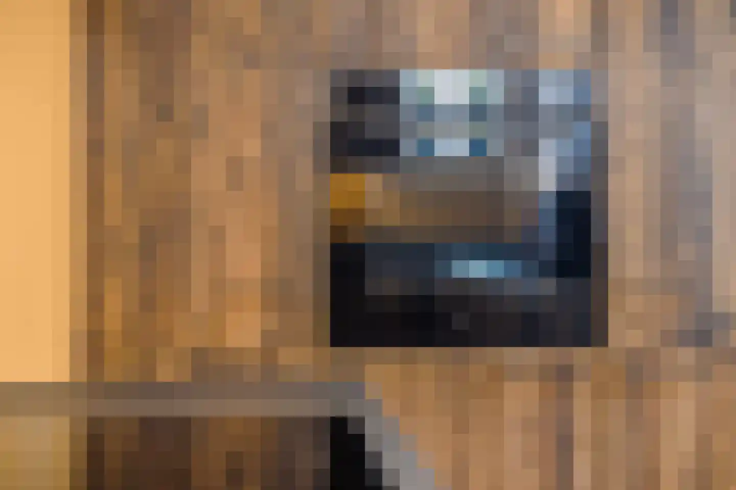 Bartelsweg 47 Apeldoorn thumbnail 6