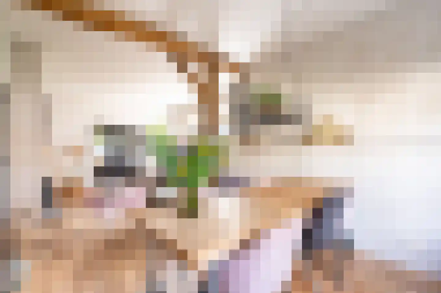 Bartelsweg 62 Apeldoorn thumbnail 12