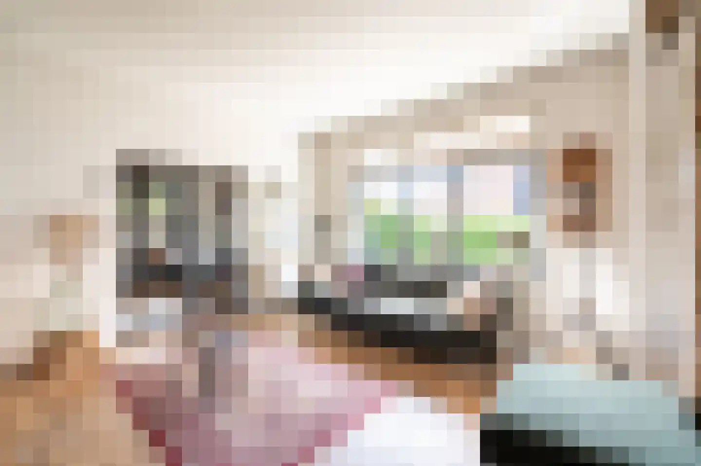 Bartelsweg 62 Apeldoorn thumbnail 14