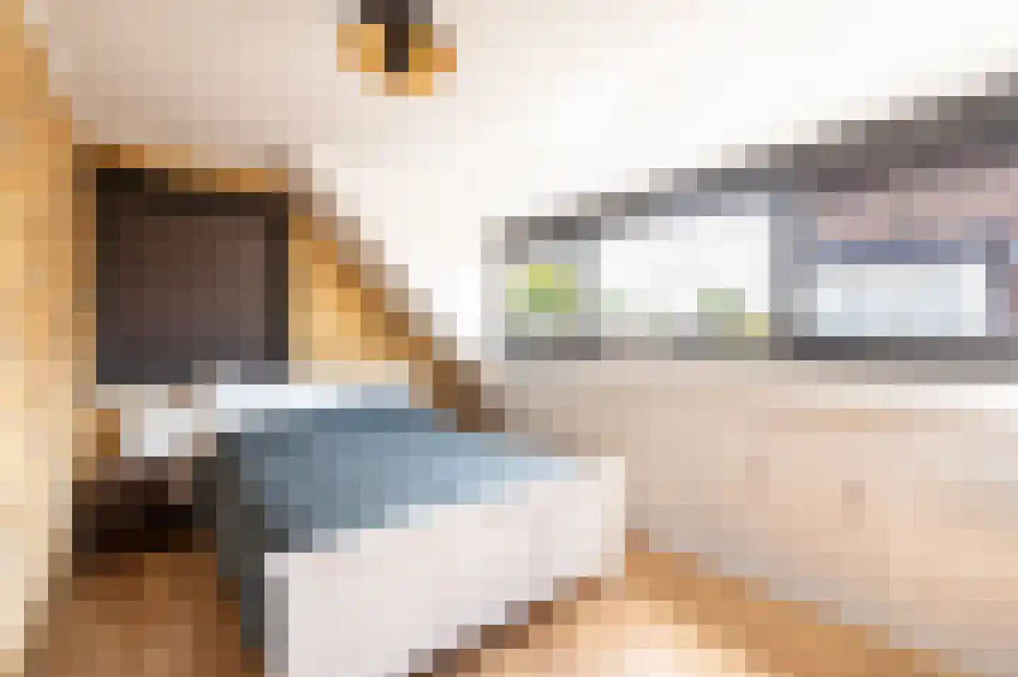 Bartelsweg 62 Apeldoorn thumbnail 24