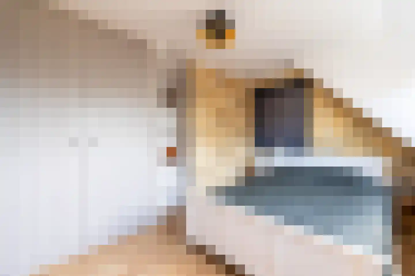 Bartelsweg 62 Apeldoorn thumbnail 25