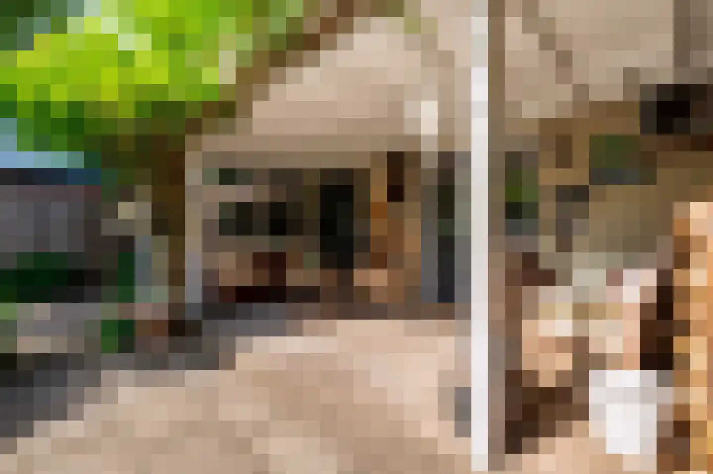 Bartelsweg 62 Apeldoorn thumbnail 29