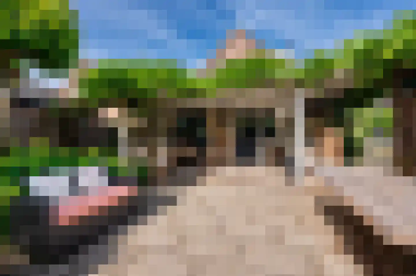 Bartelsweg 62 Apeldoorn thumbnail 30