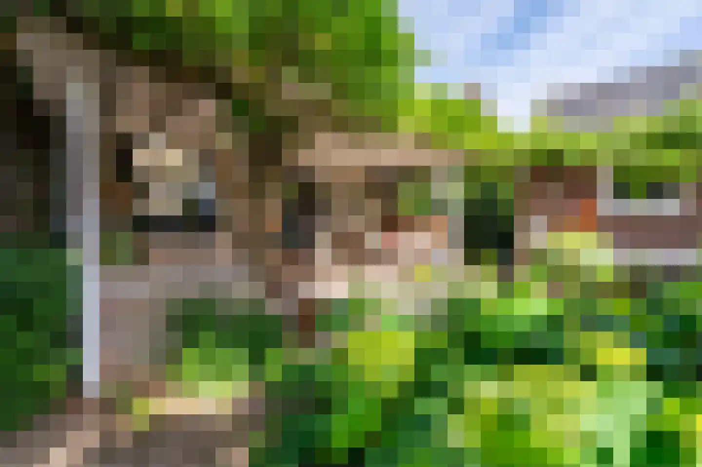 Bartelsweg 62 Apeldoorn thumbnail 31