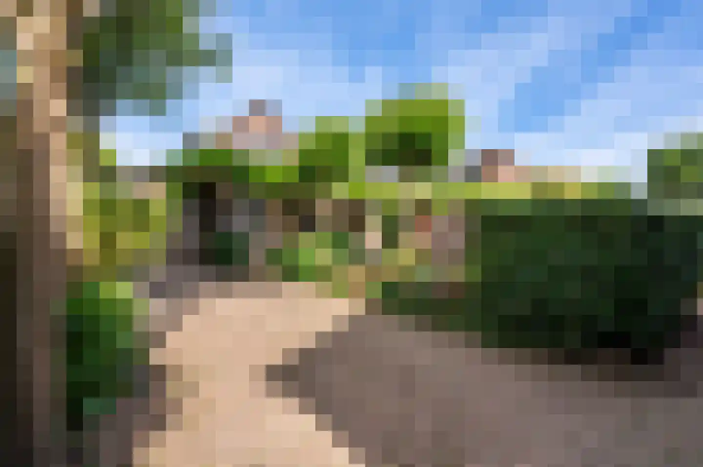 Bartelsweg 62 Apeldoorn thumbnail 32