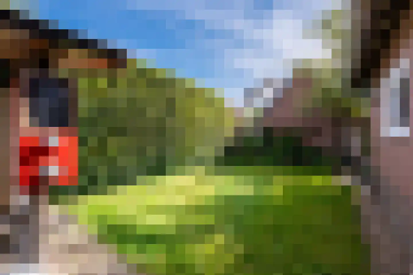 Bartelsweg 62 Apeldoorn thumbnail 33