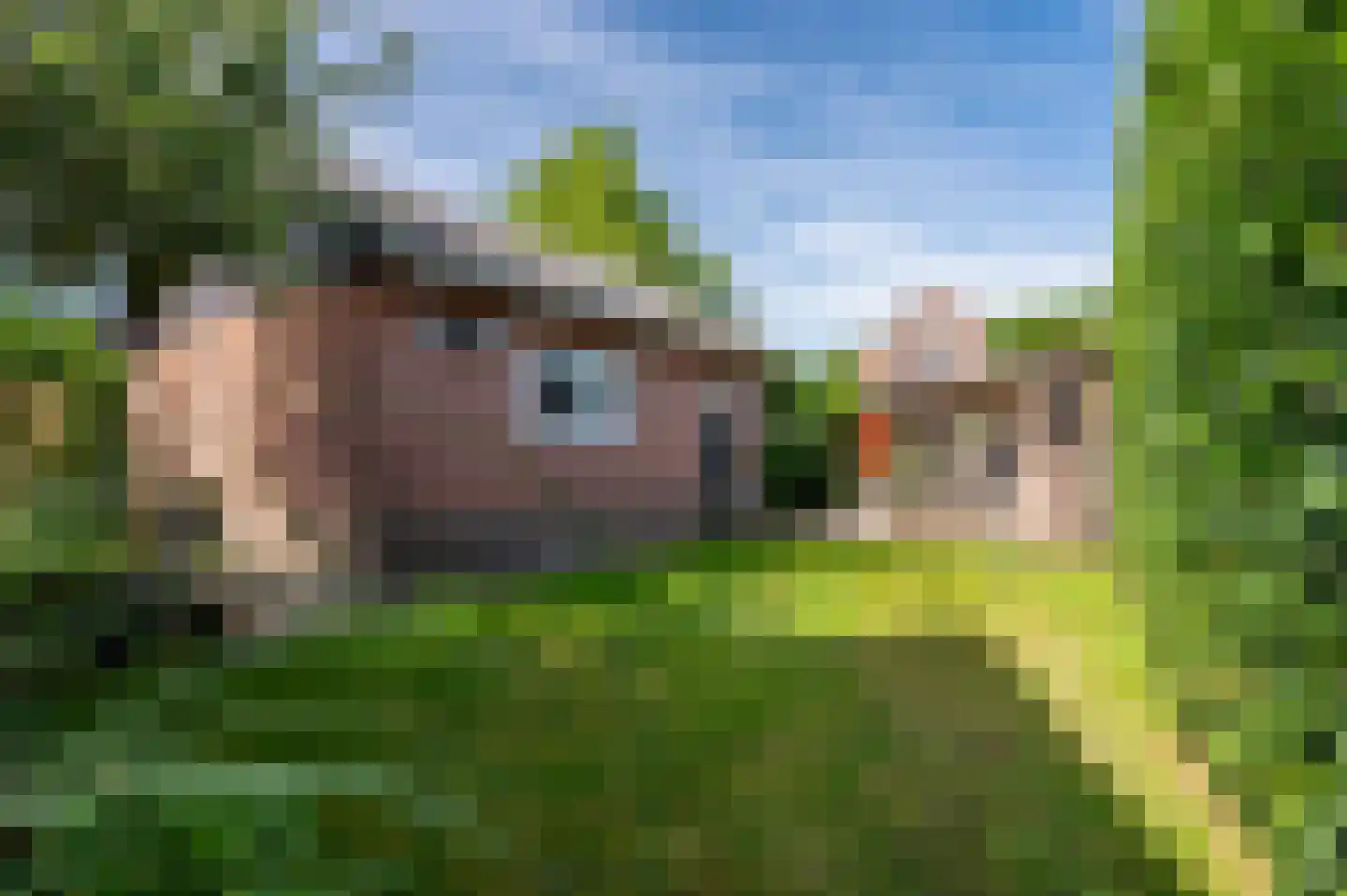 Bartelsweg 62 Apeldoorn thumbnail 34