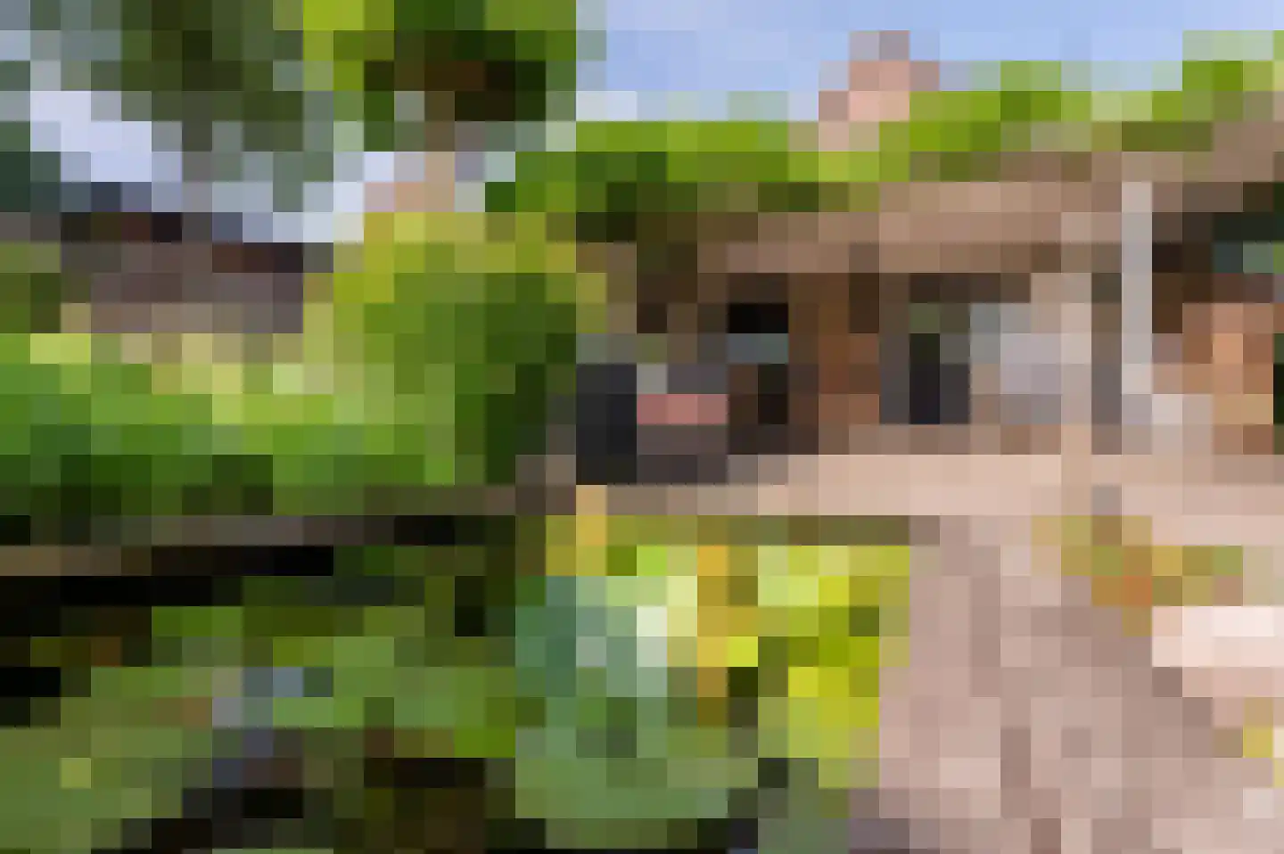 Bartelsweg 62 Apeldoorn thumbnail 5