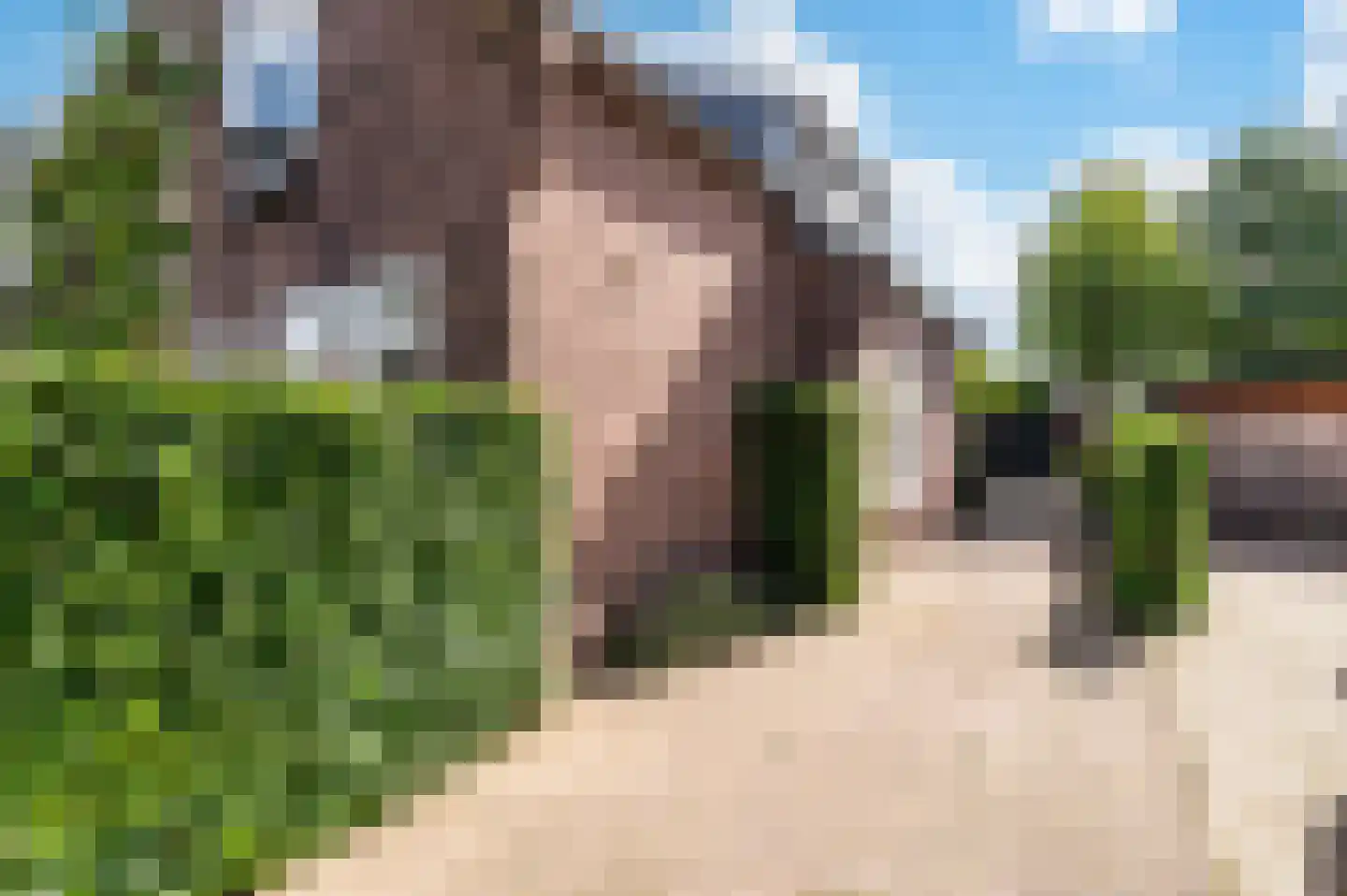 Bartelsweg 62 Apeldoorn thumbnail 7