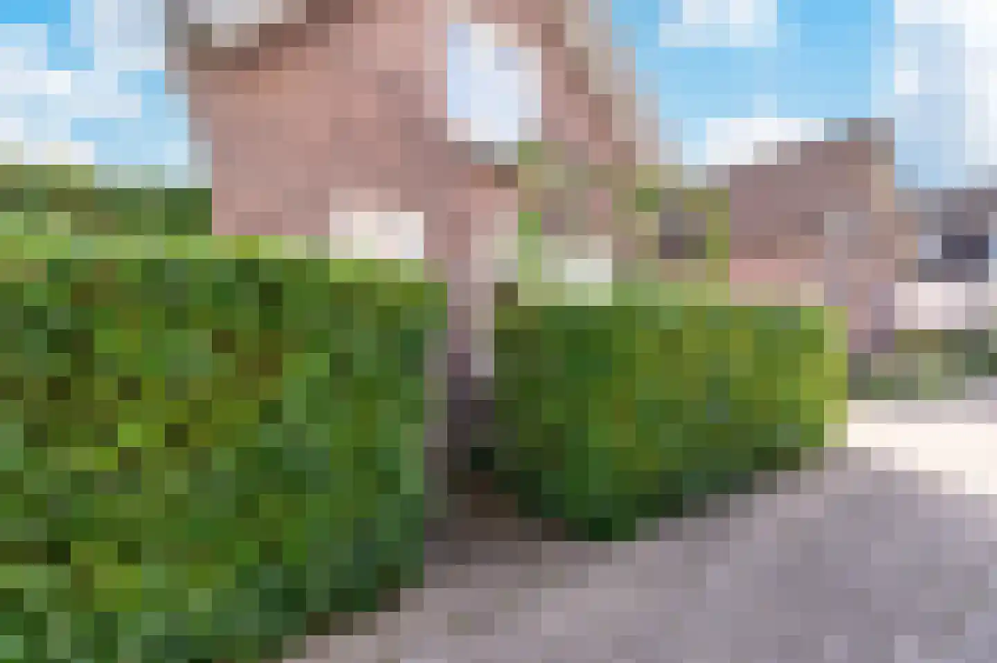Bartelsweg 62 Apeldoorn thumbnail 8