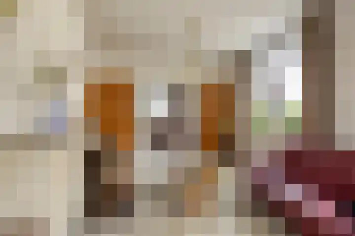 Bartelsweg 71 Apeldoorn thumbnail 10