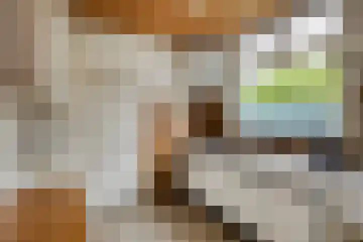 Bartelsweg 71 Apeldoorn thumbnail 11