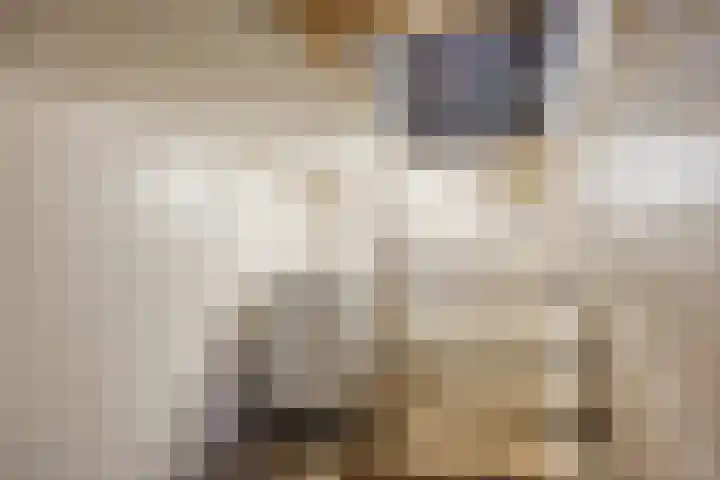 Bartelsweg 71 Apeldoorn thumbnail 14