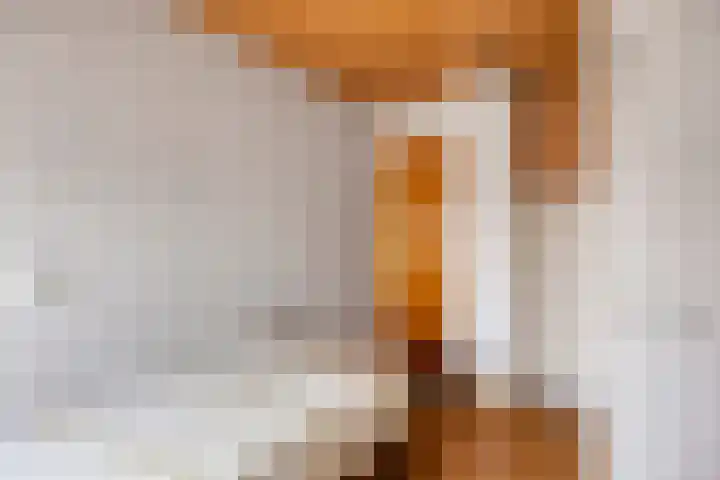 Bartelsweg 71 Apeldoorn thumbnail 18