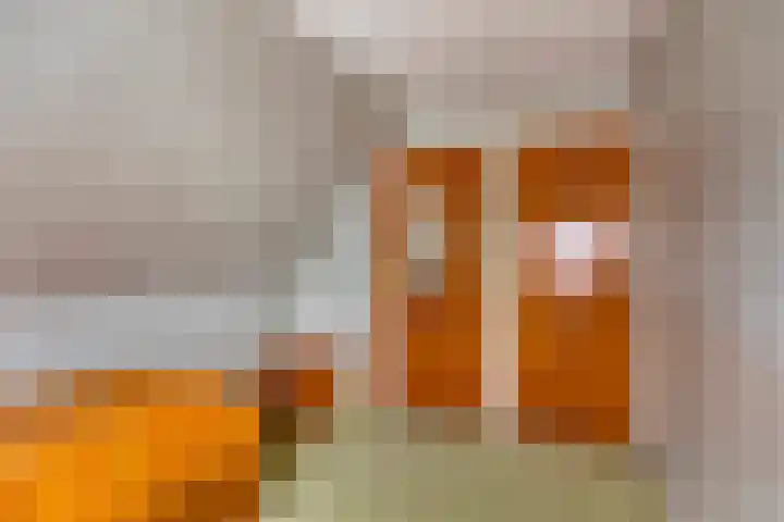 Bartelsweg 71 Apeldoorn thumbnail 20