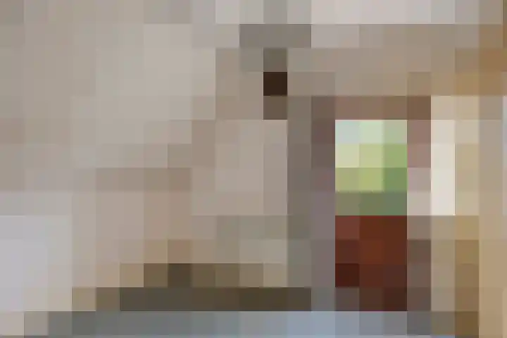 Bartelsweg 71 Apeldoorn thumbnail 21