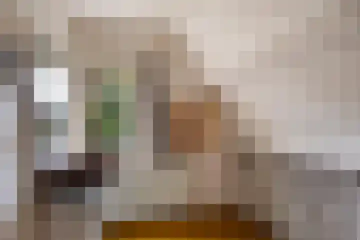 Bartelsweg 71 Apeldoorn thumbnail 23