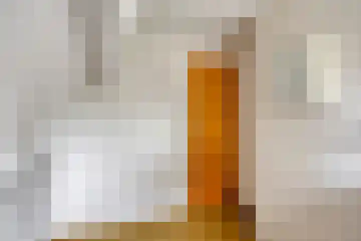 Bartelsweg 71 Apeldoorn thumbnail 24