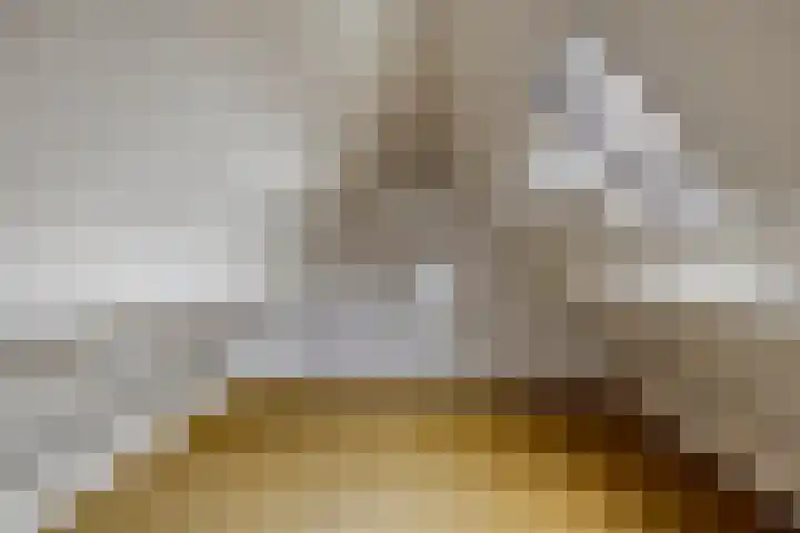 Bartelsweg 71 Apeldoorn thumbnail 25