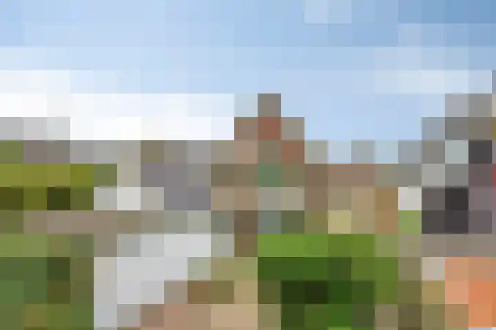 Bartelsweg 71 Apeldoorn thumbnail 27