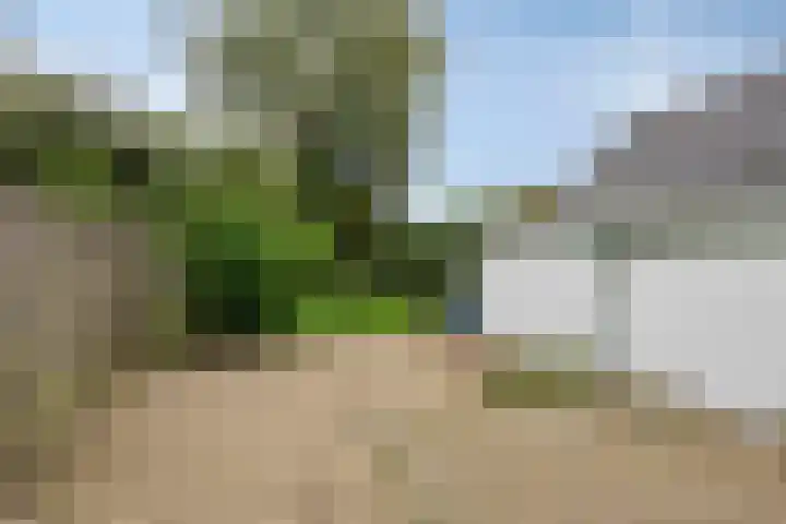 Bartelsweg 71 Apeldoorn thumbnail 29