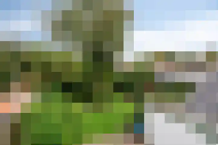 Bartelsweg 71 Apeldoorn thumbnail 30