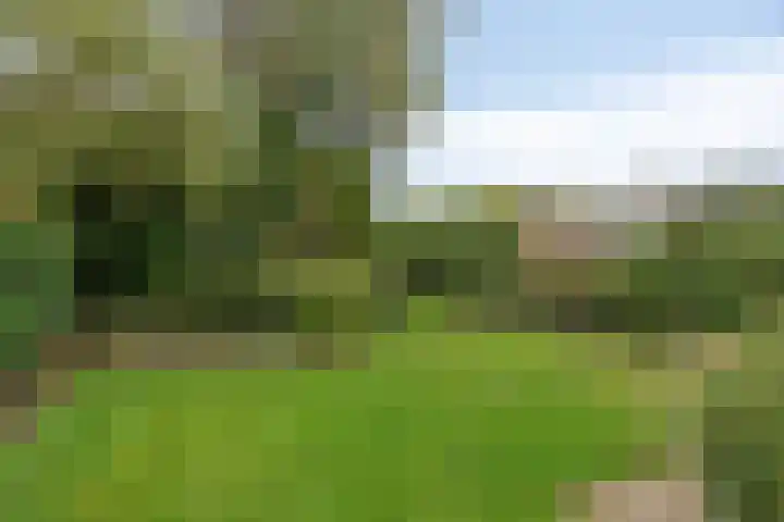 Bartelsweg 71 Apeldoorn thumbnail 31