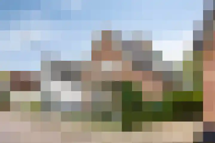 Bartelsweg 71 Apeldoorn thumbnail 33