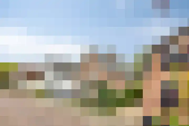 Bartelsweg 71 Apeldoorn thumbnail 34