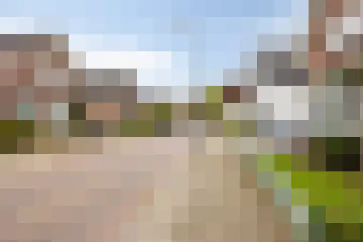 Bartelsweg 71 Apeldoorn thumbnail 37