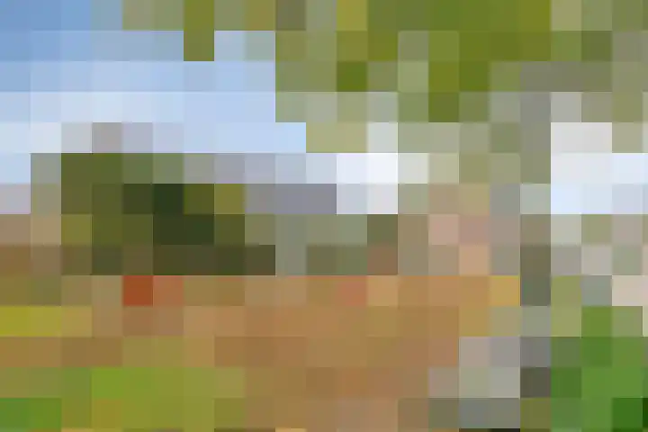 Bartelsweg 71 Apeldoorn thumbnail 38