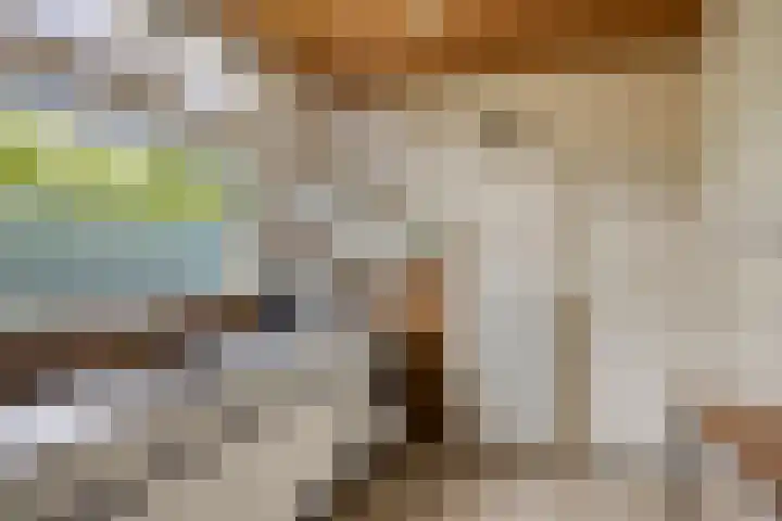Bartelsweg 71 Apeldoorn thumbnail 4