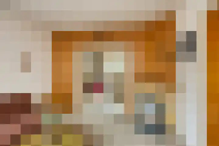 Bartelsweg 71 Apeldoorn thumbnail 6