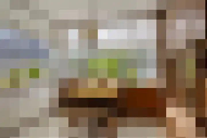 Bartelsweg 71 Apeldoorn thumbnail 9