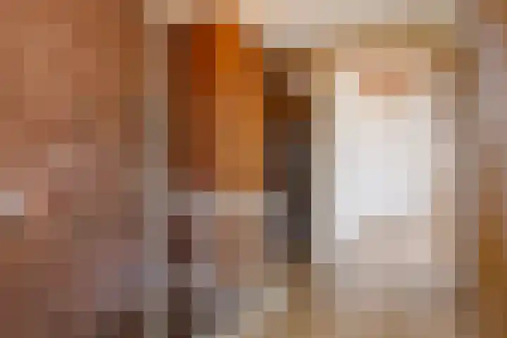 Bartelsweg 72 Apeldoorn thumbnail 11