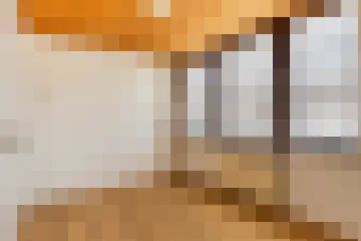 Bartelsweg 72 Apeldoorn thumbnail 12