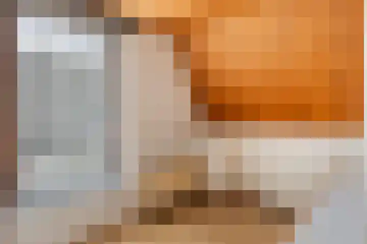 Bartelsweg 72 Apeldoorn thumbnail 14