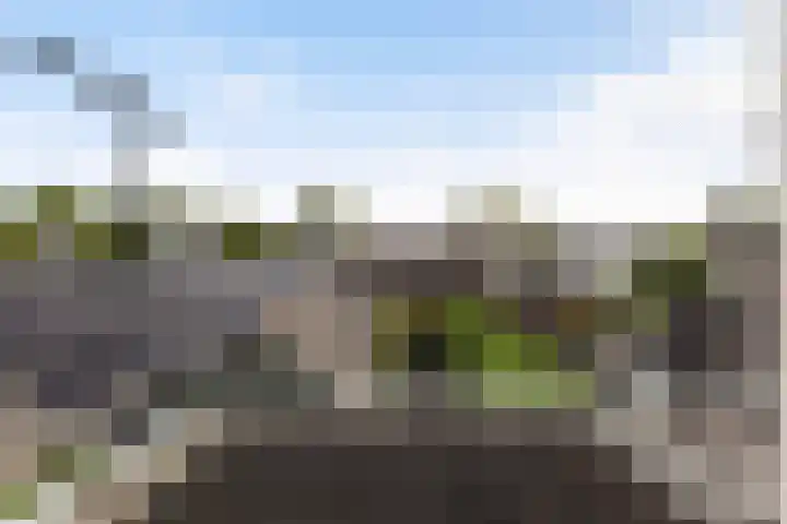 Bartelsweg 72 Apeldoorn thumbnail 18