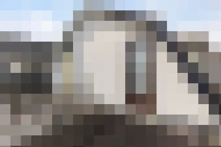 Bartelsweg 72 Apeldoorn thumbnail 19