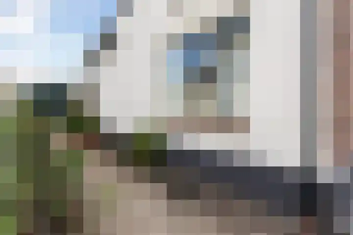 Bartelsweg 72 Apeldoorn thumbnail 21