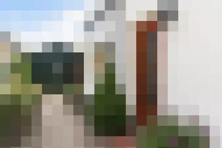 Bartelsweg 72 Apeldoorn thumbnail 22