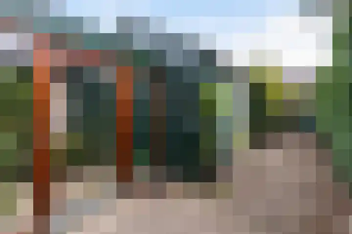 Bartelsweg 72 Apeldoorn thumbnail 23