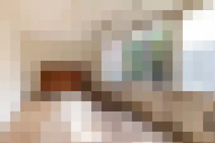 Bartelsweg 72 Apeldoorn thumbnail 26