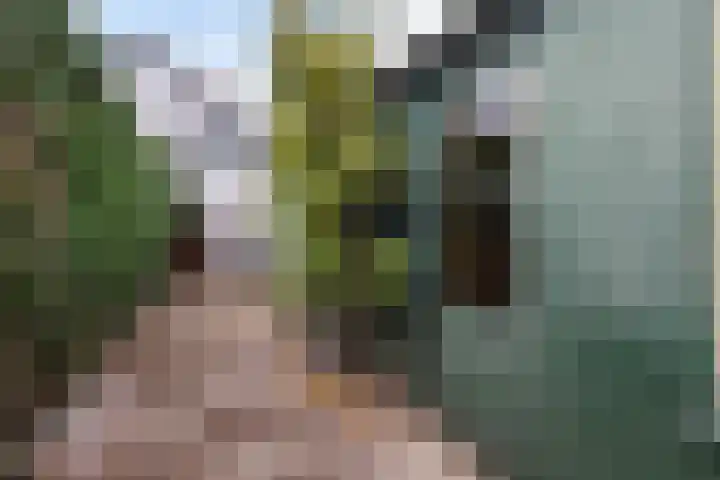 Bartelsweg 72 Apeldoorn thumbnail 27