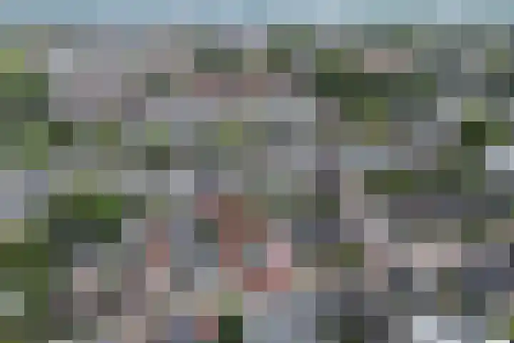 Bartelsweg 72 Apeldoorn thumbnail 30