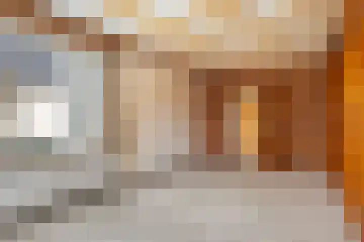 Bartelsweg 72 Apeldoorn thumbnail 4