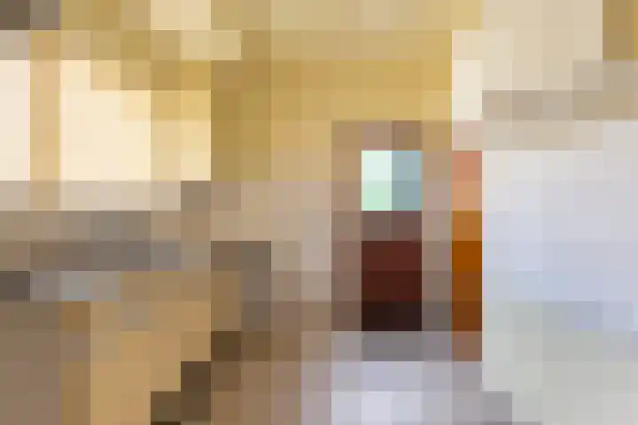 Bartelsweg 72 Apeldoorn thumbnail 5