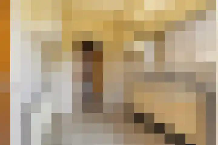 Bartelsweg 72 Apeldoorn thumbnail 6