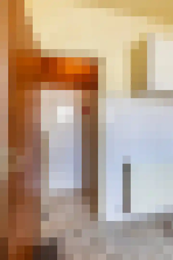 Bartelsweg 72 Apeldoorn thumbnail 7
